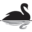 Nassim Taleb favicon